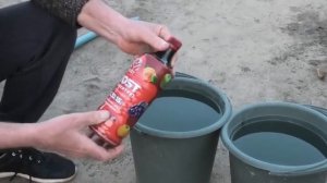 Подкормка клубники перед цветением. Часть 2.