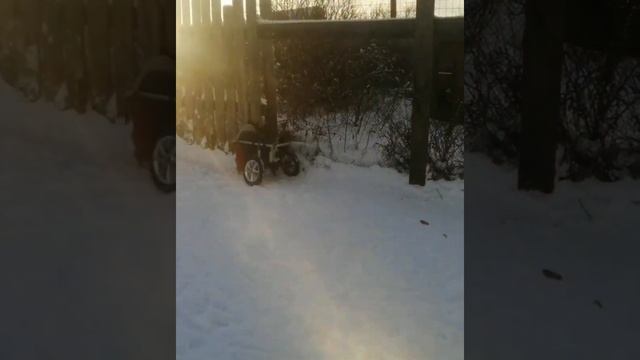 Наши железые кони скачут совсем не тихо особенные_хвостикиособенная_жизнь