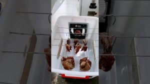 ❗️Сделали сушилку для мяса своими руками ❗️Первая к