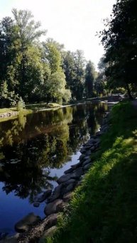 Лопухинский Сад/ При Петра I здесь был Аптекарский ого