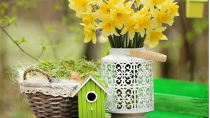 Музыкальная открытка для настроения – Доброго дня и улыбок! 🌞