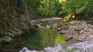 Звуки Природы для медитации и отдыха / Водные потоки горных ущелий  / АСМР  / эпизод 2