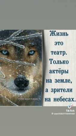 ЖИЗНЬ ЭТО ТЕАТР?!?!
