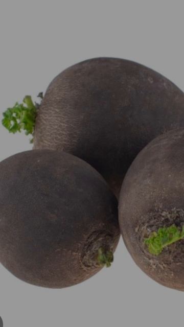 ЧТО МОЖНО ПОСАДИТЬ В ИЮЛЕ❗️🥬🥕🥒🫛🥦 смотреть онлайн