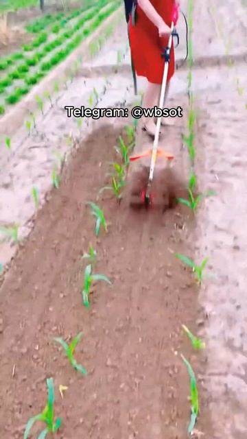 ☝️☝️☝️ Восхитительная находка на Вайлдберриз. #по? смотреть онлайн