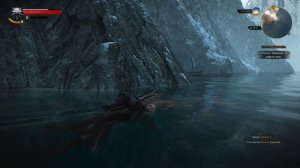 The Witcher 3  Победа над горгульями