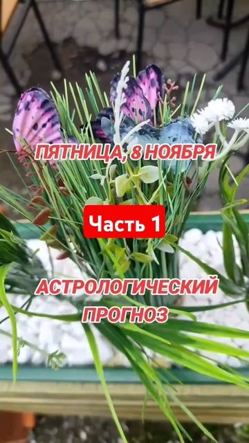 Гороскоп на 8 ноября по знакам зодиака #гороскоп #астро