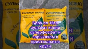 Осенняя подкормка пионов 🌸🌸🌸