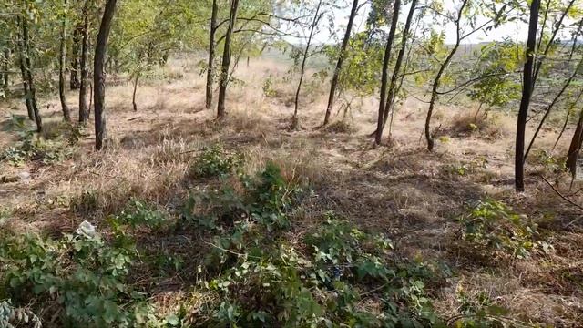 ГНБ прокол под напорную канализацию смотреть онлайн