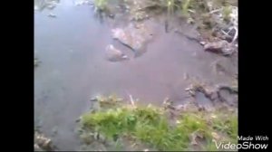 МЫ В АХУНАХ !!! ОТДЫХАЕМ !!!