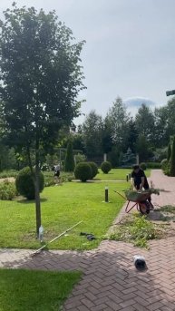 Формируем🙌 #land_blog #ландшафтныйдизайн #garden #озеленение