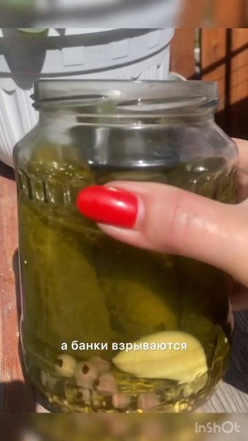 Секрет для соленых огурцов #сад #огород #дача #огурцы #о