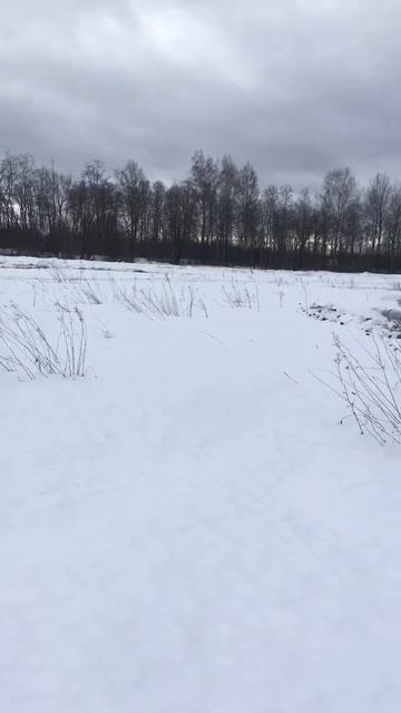 Команда уничтожить. Когда картошку сажать ещё рано, а ? смотреть онлайн