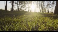 Эта композиция - как шёпот в темноте, от которого дрожь... - Dwelling On The Vastness Of Life -- Kir