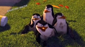 Джавид озвучка "Мадагаскар"#джавид