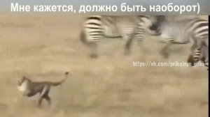 Мне кажется, должно быть наоборот)