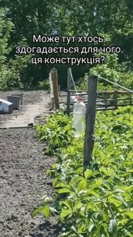 #україна #село #огород