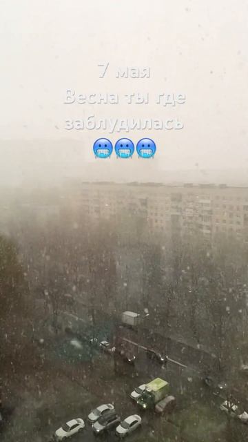 Рассада погибает без тепла🥶#хобби #рассада #огород #к? смотреть онлайн