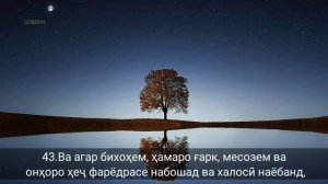 Сураи Ёсин ба тарҷумаи забони тоҷикӣ. Мишари Рашид.HD 720p.