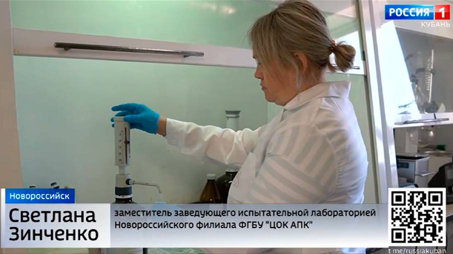 ТВ: Безопасность кубанской клубники проверили специалисты Новороссийского филиала ЦОК АПК
