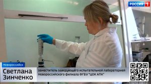 ТВ: Безопасность кубанской клубники проверили специалисты Новороссийского филиала ЦОК АПК