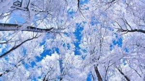 Спасибо меня Предавшим