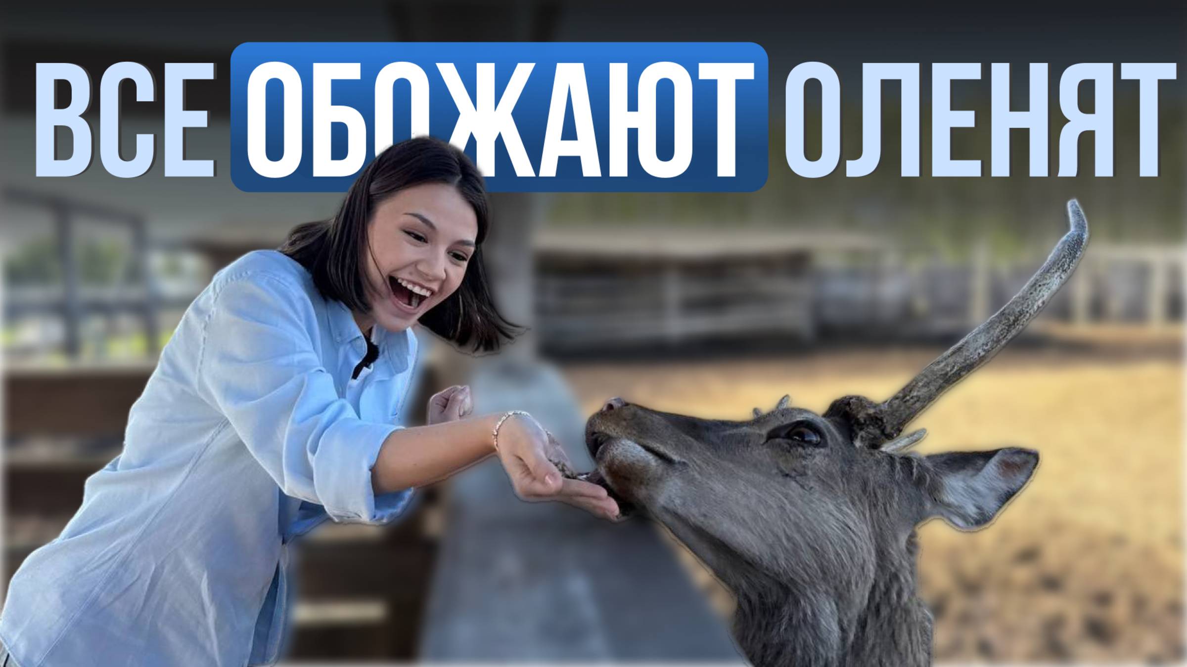 Экопарк «Дикая ферма» // Экскурсия к самым милым оленям под Казанью