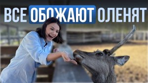 Экопарк «Дикая ферма» // Экскурсия к самым милым оленям под Казанью