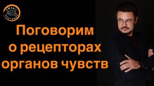 Поговорим о рецепторах органов чувств.