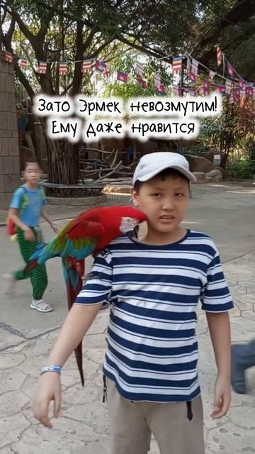 Старший сын-аутист боится животных. Младший же нет. #ау