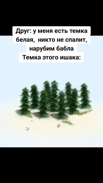 Семена посадил… #мем #темадня #деньги #рекомендации смотреть онлайн