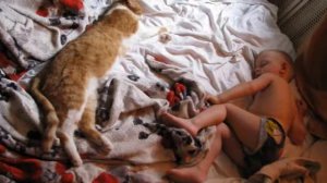 Дети спят || Смешные позы || Необычные места для засыпания))