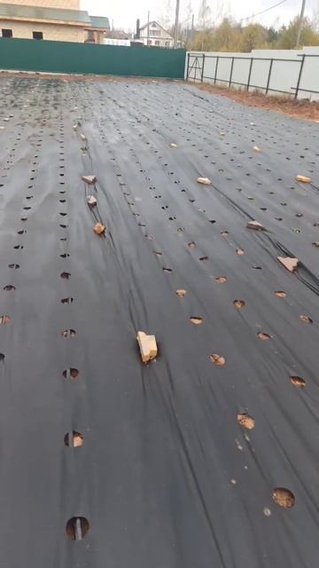 Высадка саженцев клубники в дождь смотреть онлайн