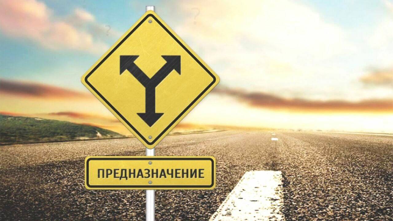 Эфир ВК: "Предназначение/потенциал"