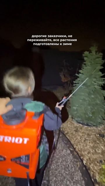 Показать чем обрабатываем перед зимой?😁 #озеленениек смотреть онлайн