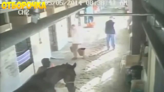 ЛУЧШИЕ ПРИКОЛЫ 2016 Февраль Самые смешные приколы Февраль 2016 Выпуск 191 смотреть онлайн