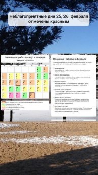 Лунный календарь работ в саду и огороде на февраль 2025 #