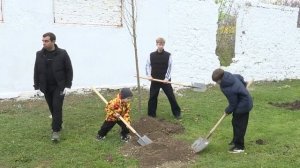 «Сад Памяти»  В Анапе высадили платаны