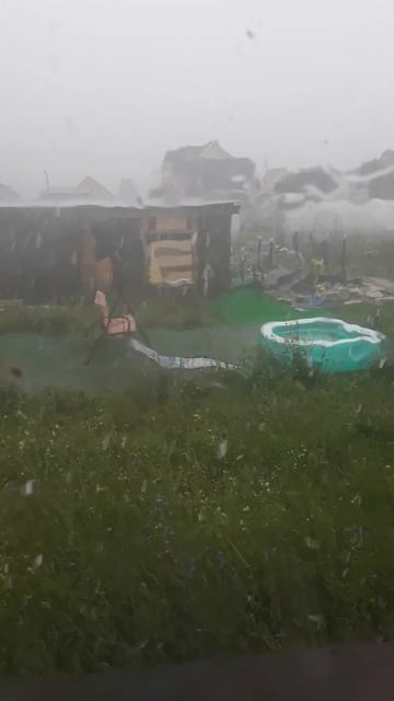 Ливень и ветер! Ну и погодка. #дача #сад #огород #garden смотреть онлайн