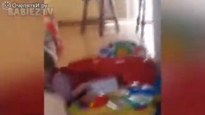 Смешные детские поцелуи смотреть видео прикол   306