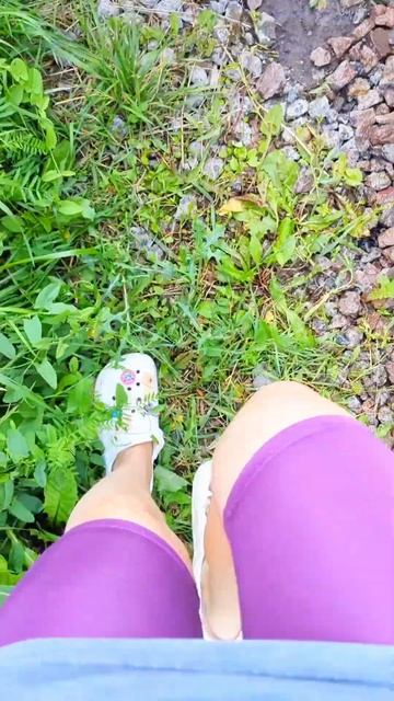 Плюс жизни в доме #жизньвдоме #дача #огород #