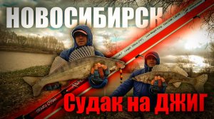 ВОЛОСЫ ДЫБОМ ОТ ТАКИХ ПОКЛЁВОК / РЫБАЛКА НА СУДАКА В НОВОСИБИРСКЕ.