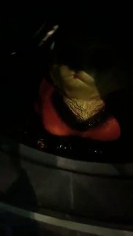 Постирал кошку смешное видео