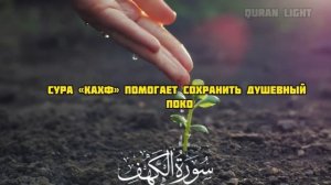 Сура Кахф – сегодня это сунна! Обязательно слушать! Оч