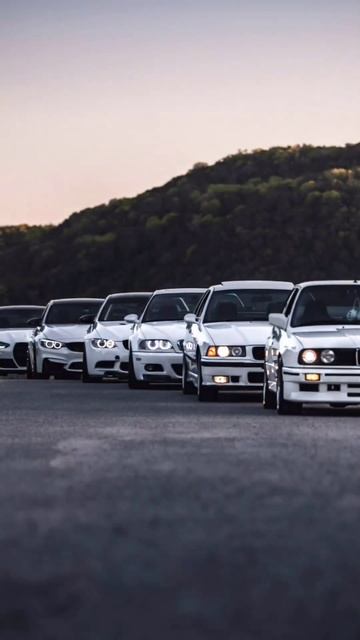 Куда сам сядешь, куда мать посадишь? ❤️🔥 TG в шапке ? смотреть онлайн