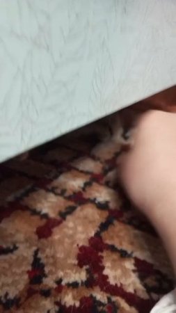 Всем привет мы давно не виделись и конечно мои котики тоже соскучились 😘
