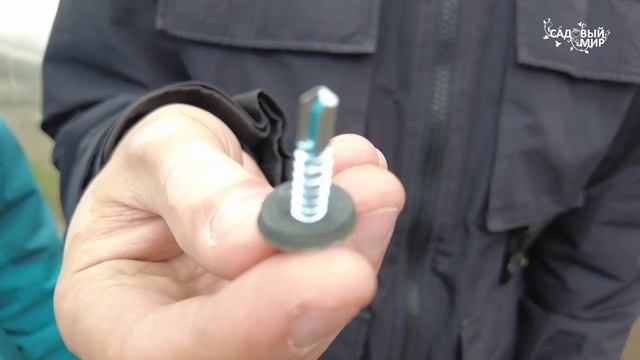 РЕМОНТ ТЕПЛИЦЫ - ЗАМЕНА ПОЛИКАРБОНАТА. КАКОЙ ПОЛИКАРБ?
