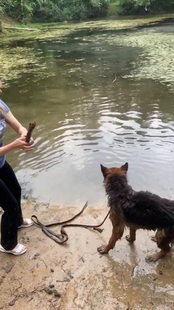 Когда гуляли по лесу и увидели лесной прудДжульбарс