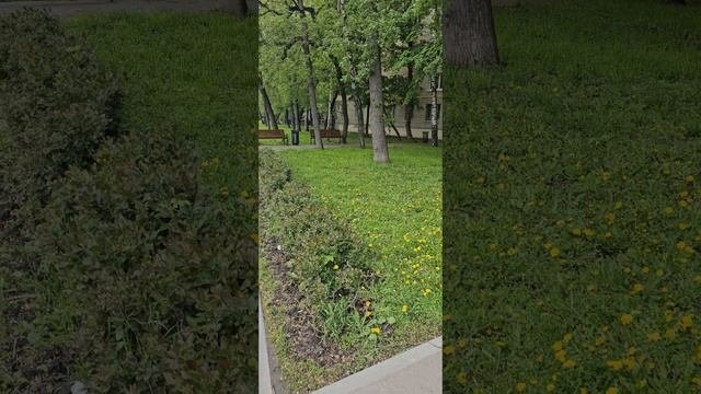 Новая история на почте России. Про притяжение подобного к подобному.
