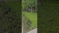 Новая история на почте России. Про притяжение подобного к подобному.